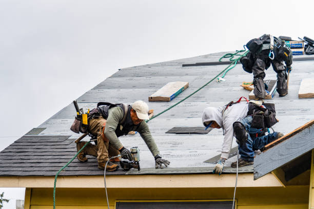 Professional Roofing technician working in Layland, WV